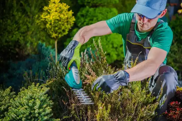 landscaping services Pontiac